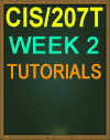 CIS/207T WEEK 2 QUIZ